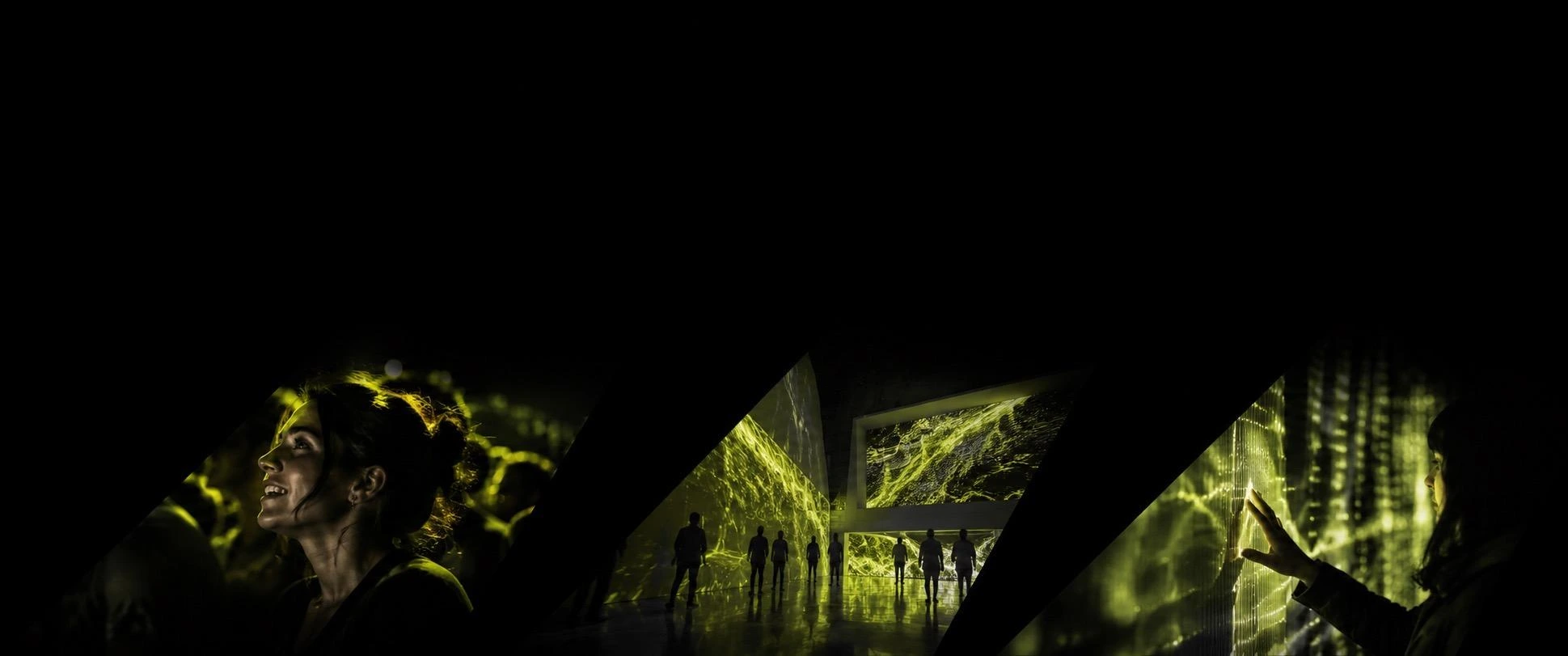 audience and illuminated event environments